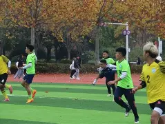 足球比赛现场观众激情高涨,场面热闹如何描写